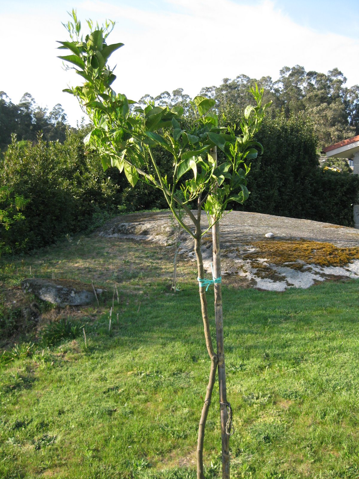 [20090325+020.jpg]
