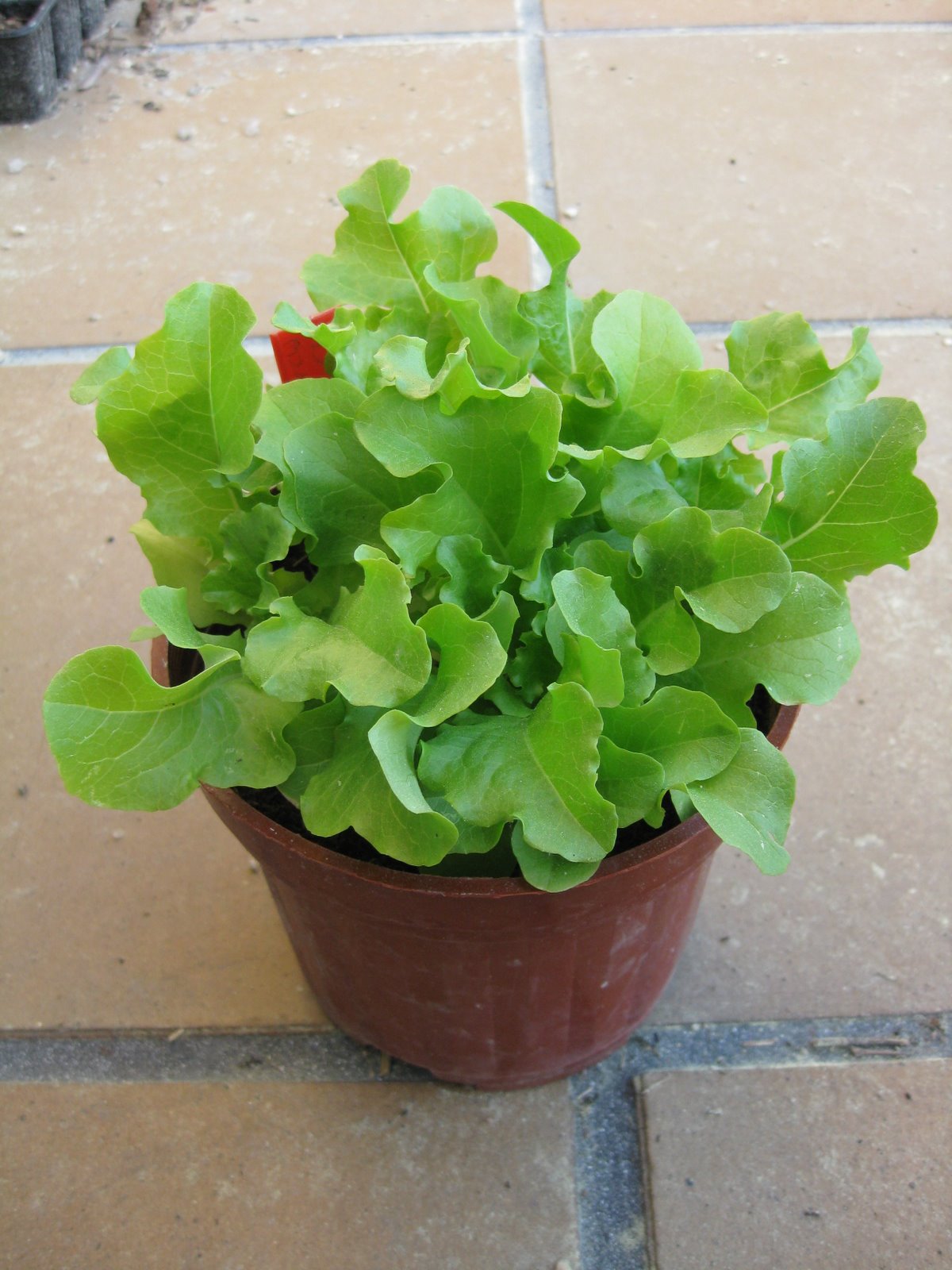[20090325+027.jpg]