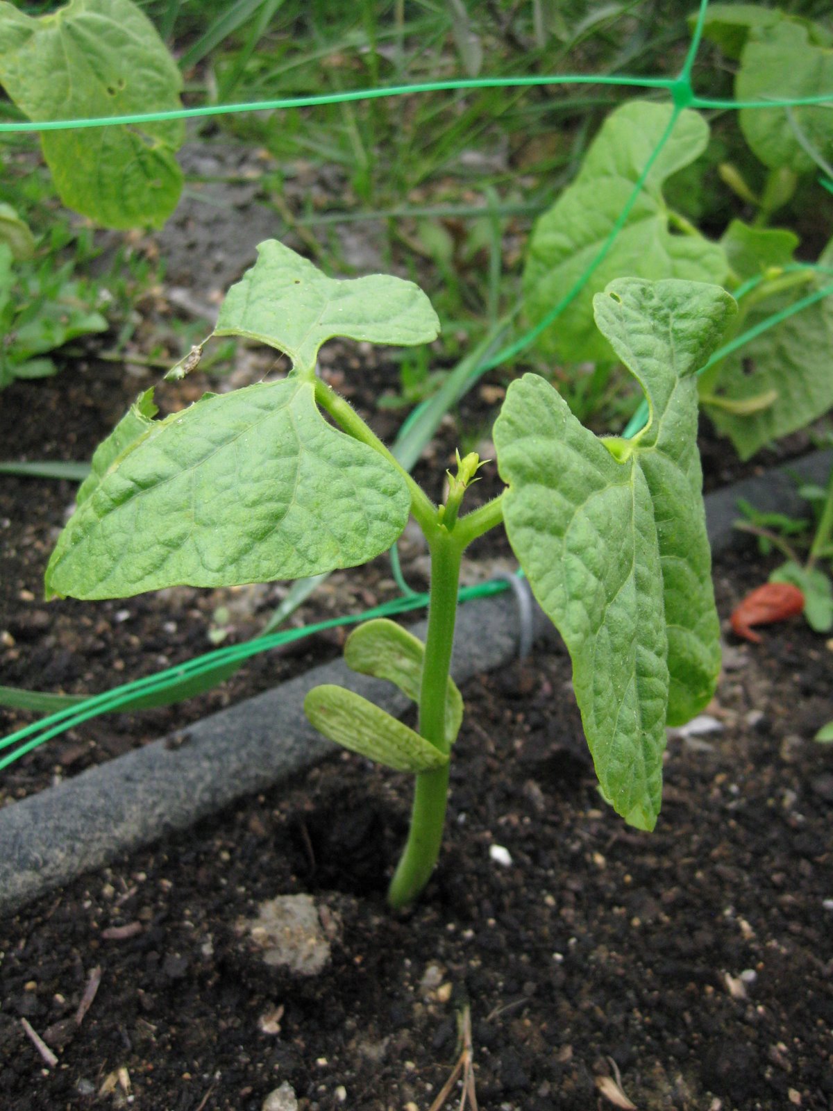 [20090429+022.jpg]