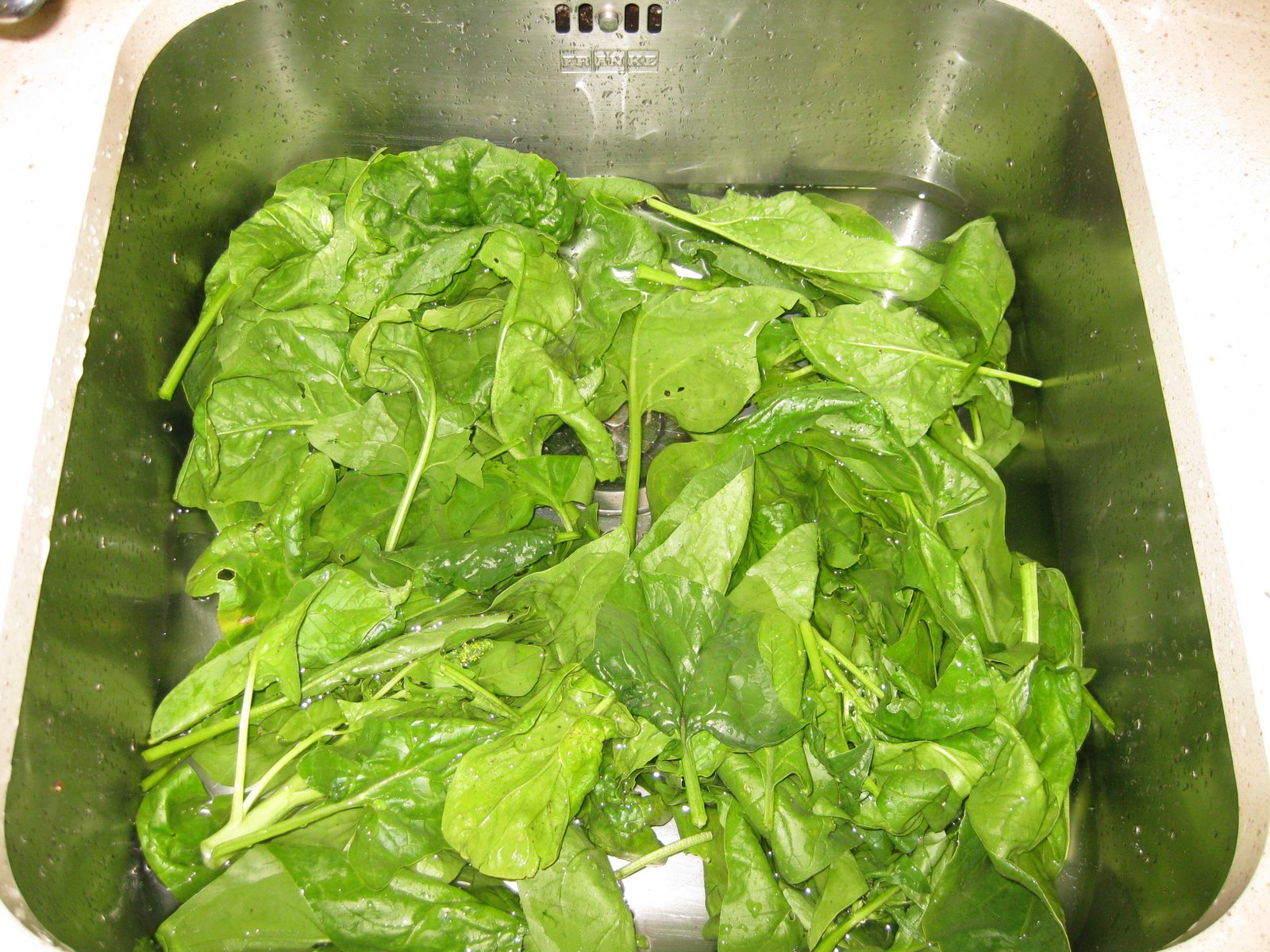 [20090528+002.jpg]