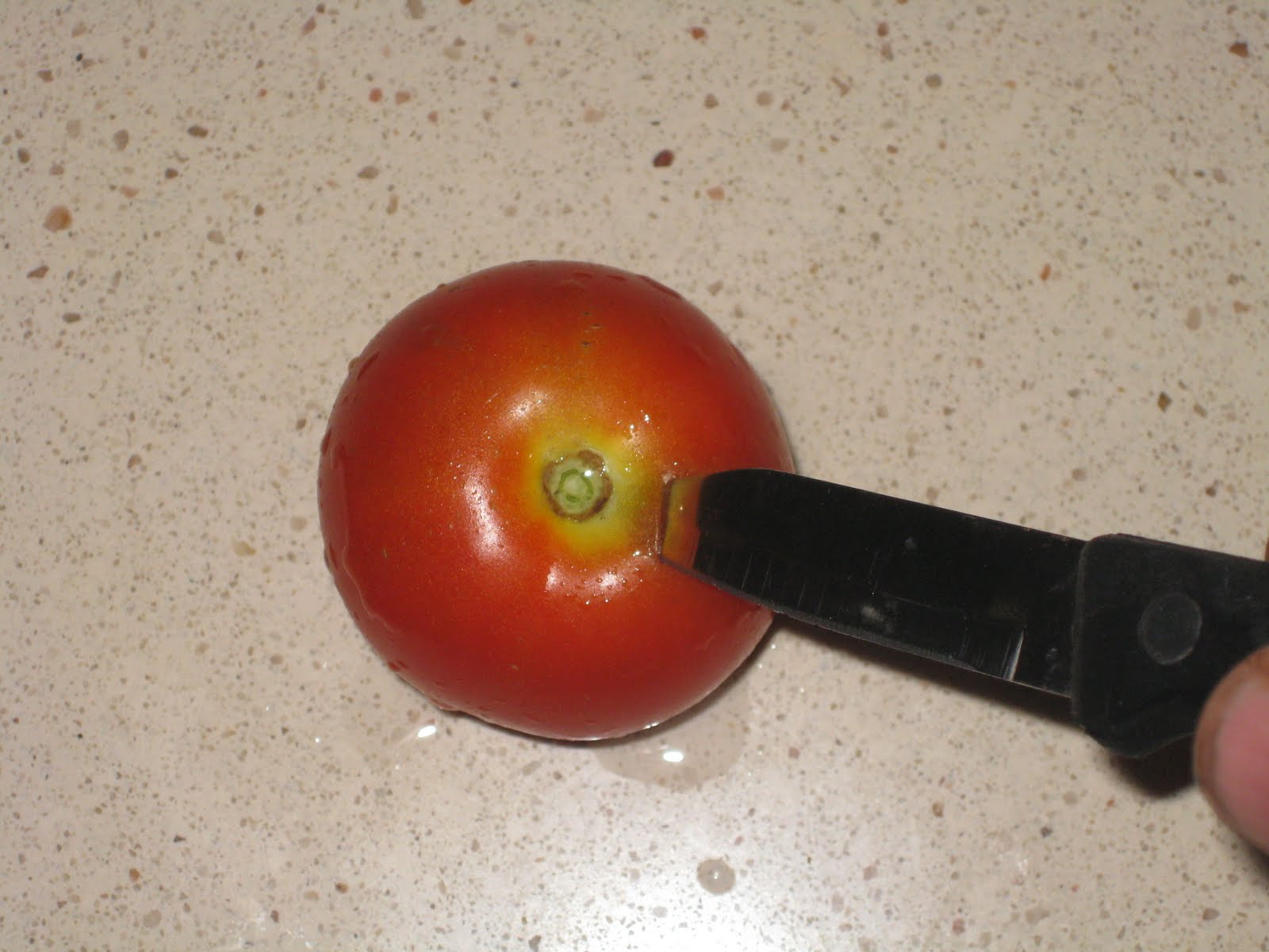 [20090812+006.jpg]