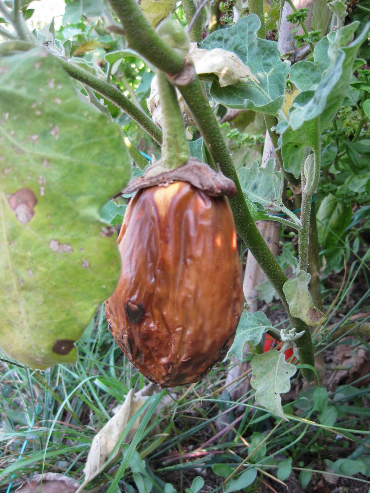[20090926+006.jpg]