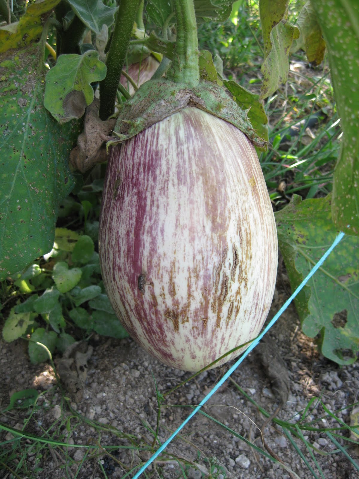 [20090926+007.jpg]