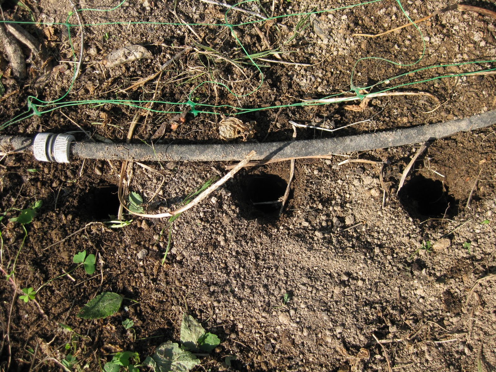 [20090926+008.jpg]