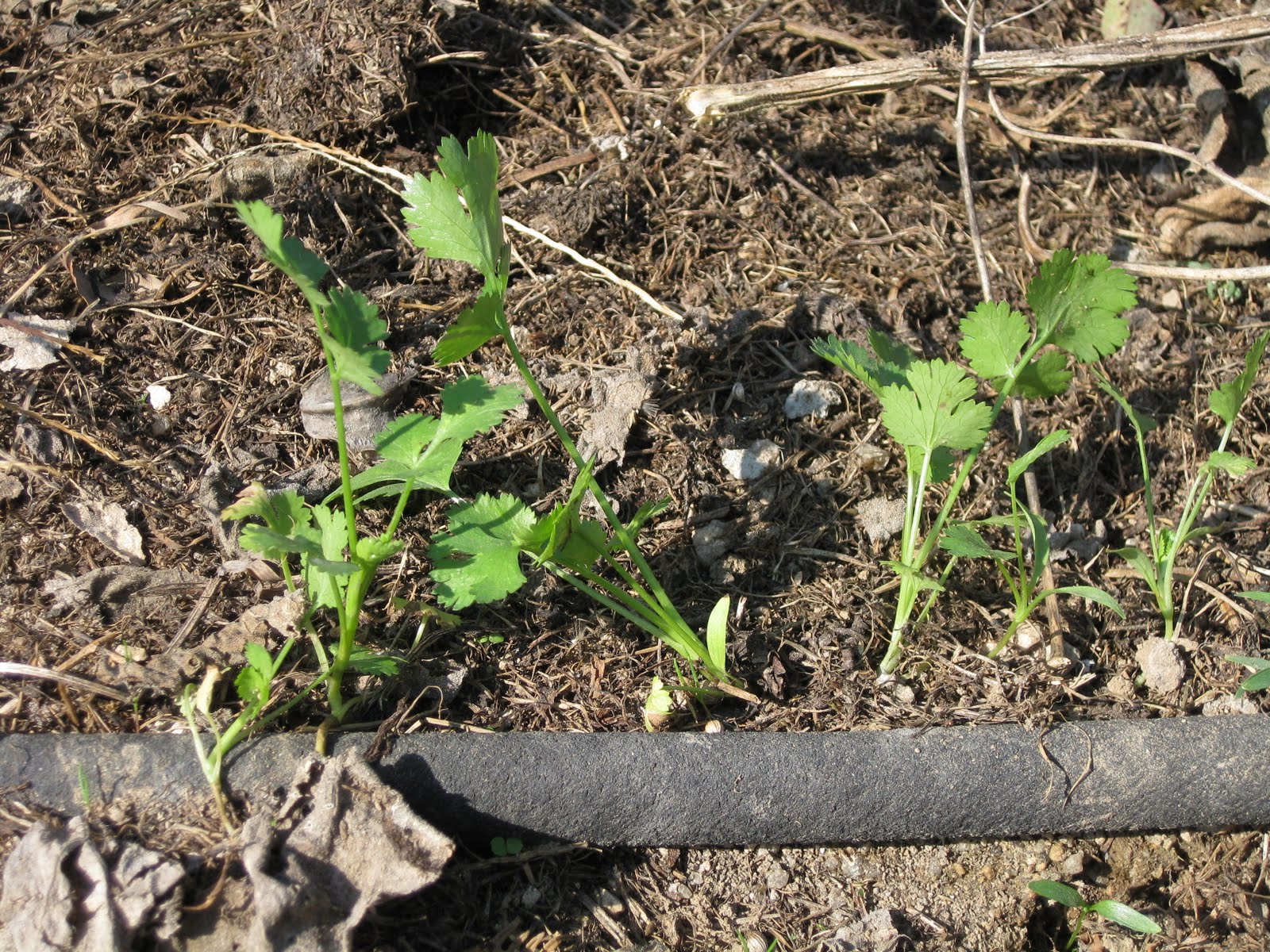 [20090926+014.jpg]
