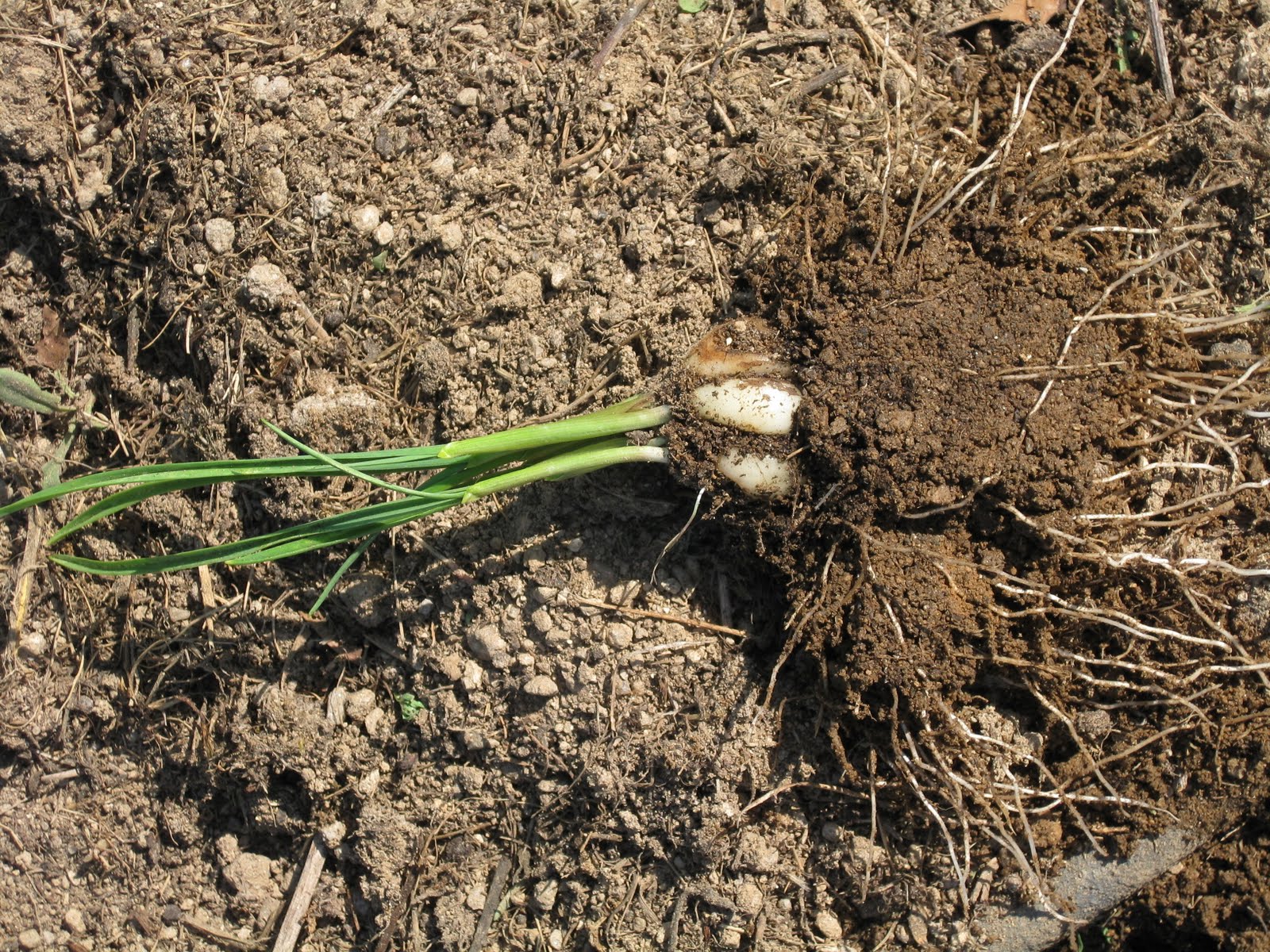 [20090926+019.jpg]