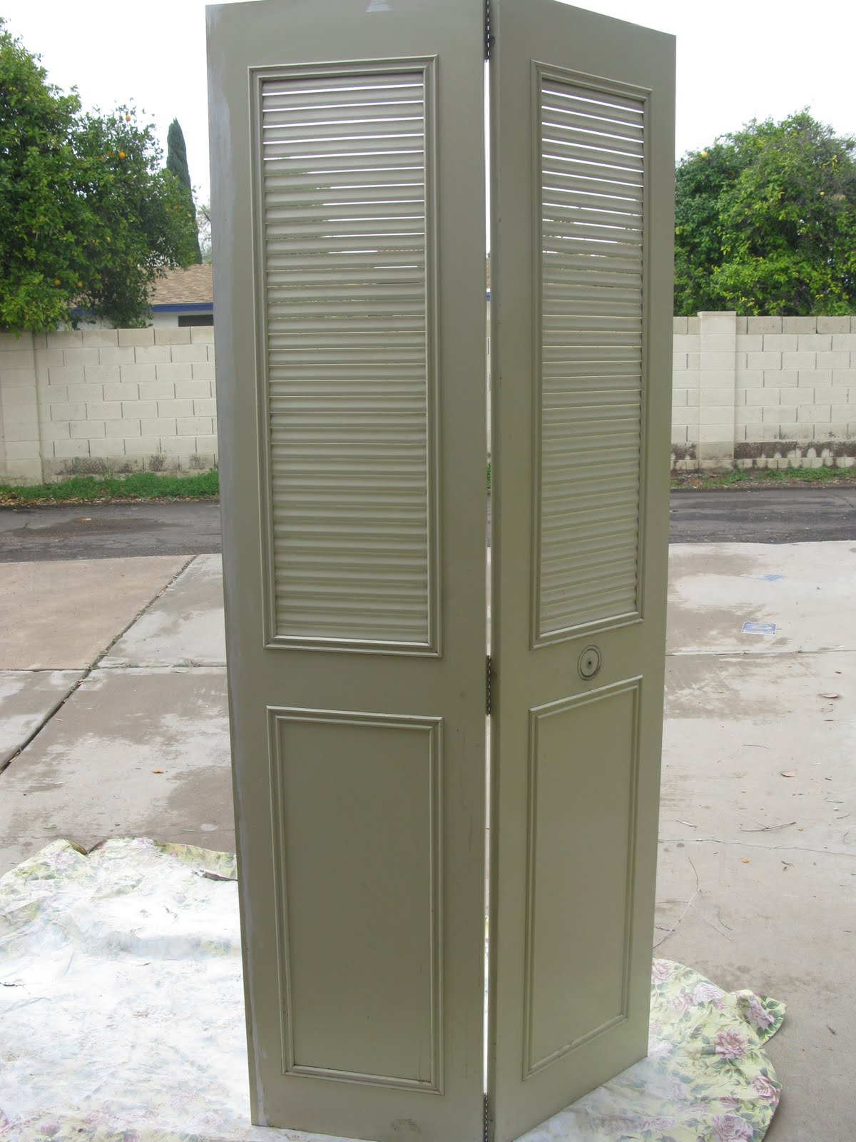 Urban Barnyard Closet doors get a new life