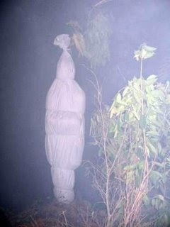 Pocong