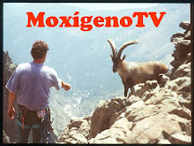 MoxigenoTV