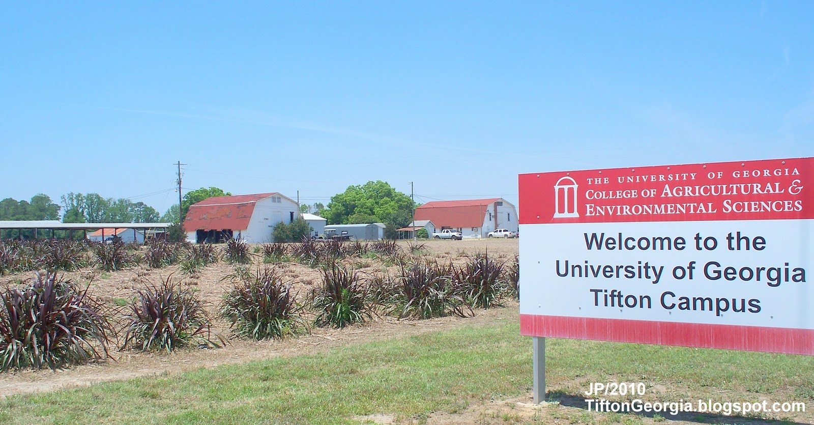 University Georgia Campus