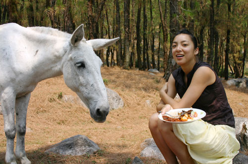 [horse-food.jpg]