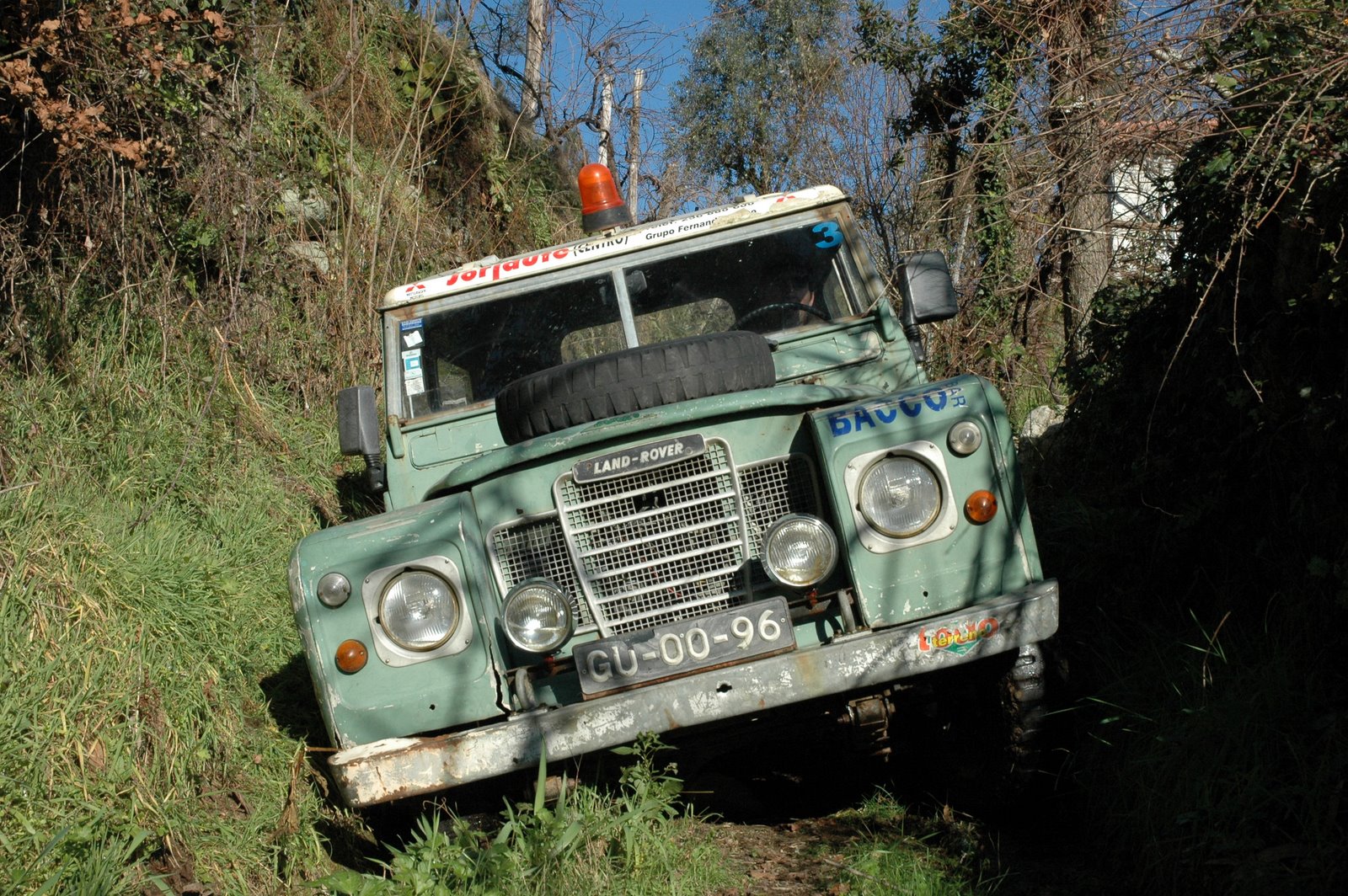 [DSC_5223.JPG]