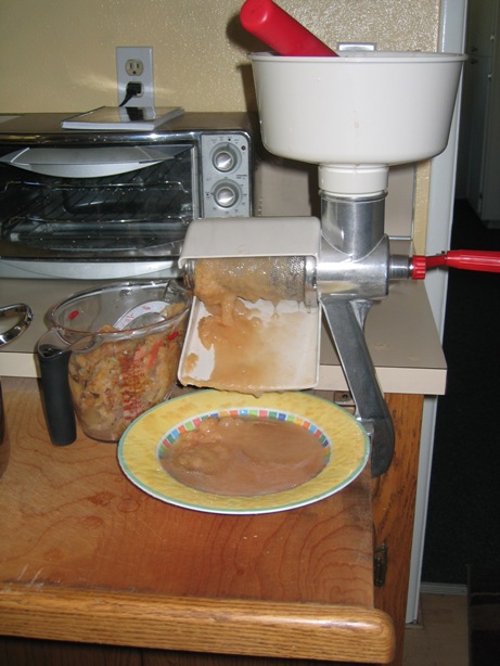 [food+mill+in+action.JPG]