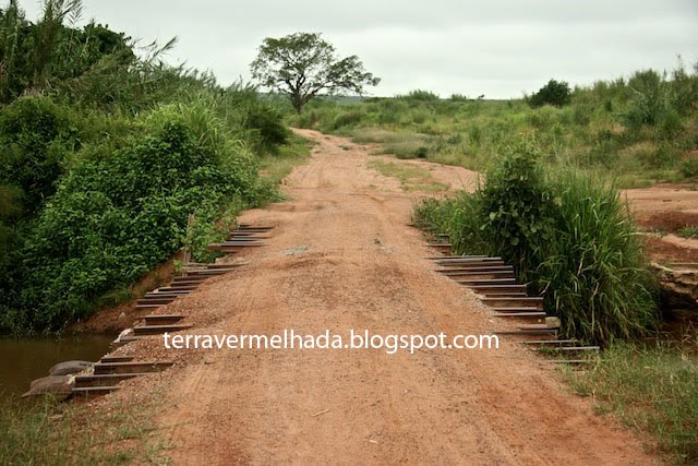 [IMG_4939+copy.jpg]