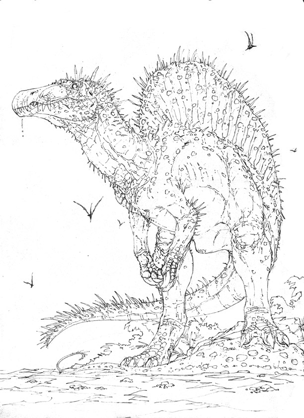 [Spinosaurus.jpg]