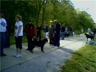 Dog Parks In Northwest Arkansas Dog Parks In Northwest Arkansas