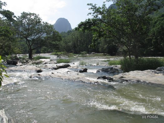 [IMG_0643.JPG]