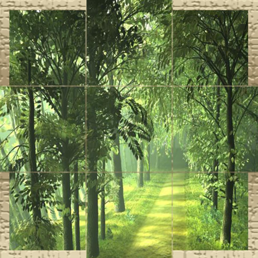 [forest+road+copy.jpg]