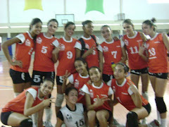 VOLEI
