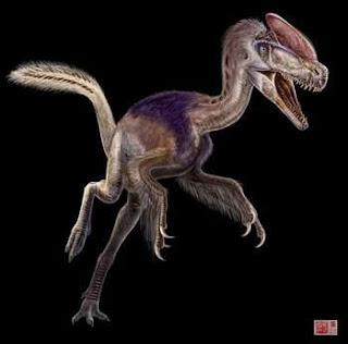 暴龍的祖先 五彩冠龍 有冠恐龍化石，可能是暴龍的祖先
