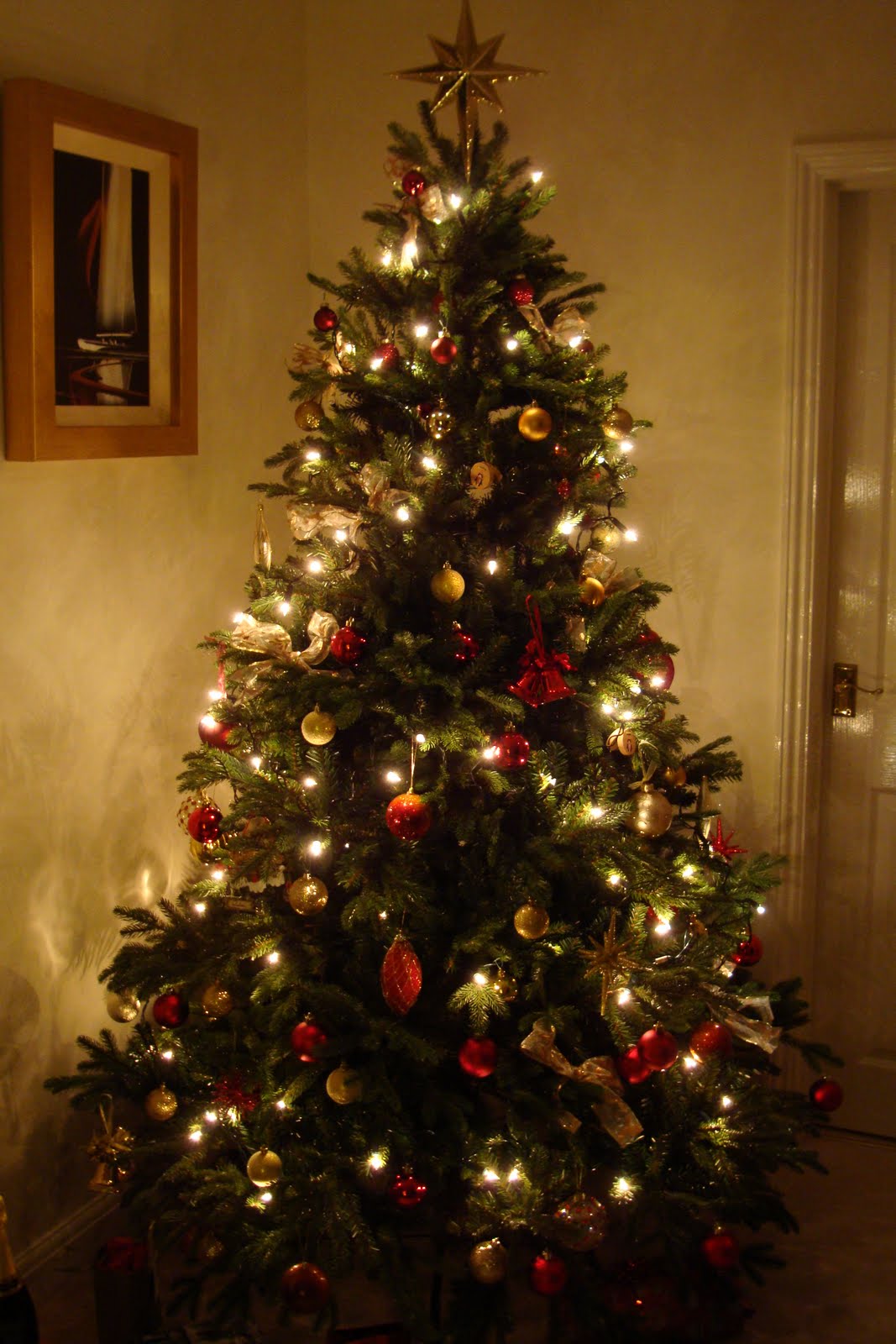 [xmas+o9+002.JPG]