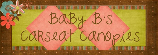 Baby B's Carseat Canopies