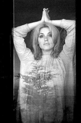 [JustSharonTate12.jpg]