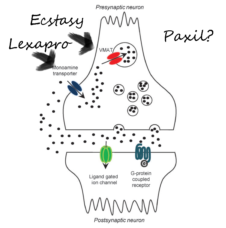 The view from my handlebars... Selective Serotonin Reuptake Inhibitors (SSRIs)