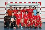 Plantel Juvenis época 2010/11