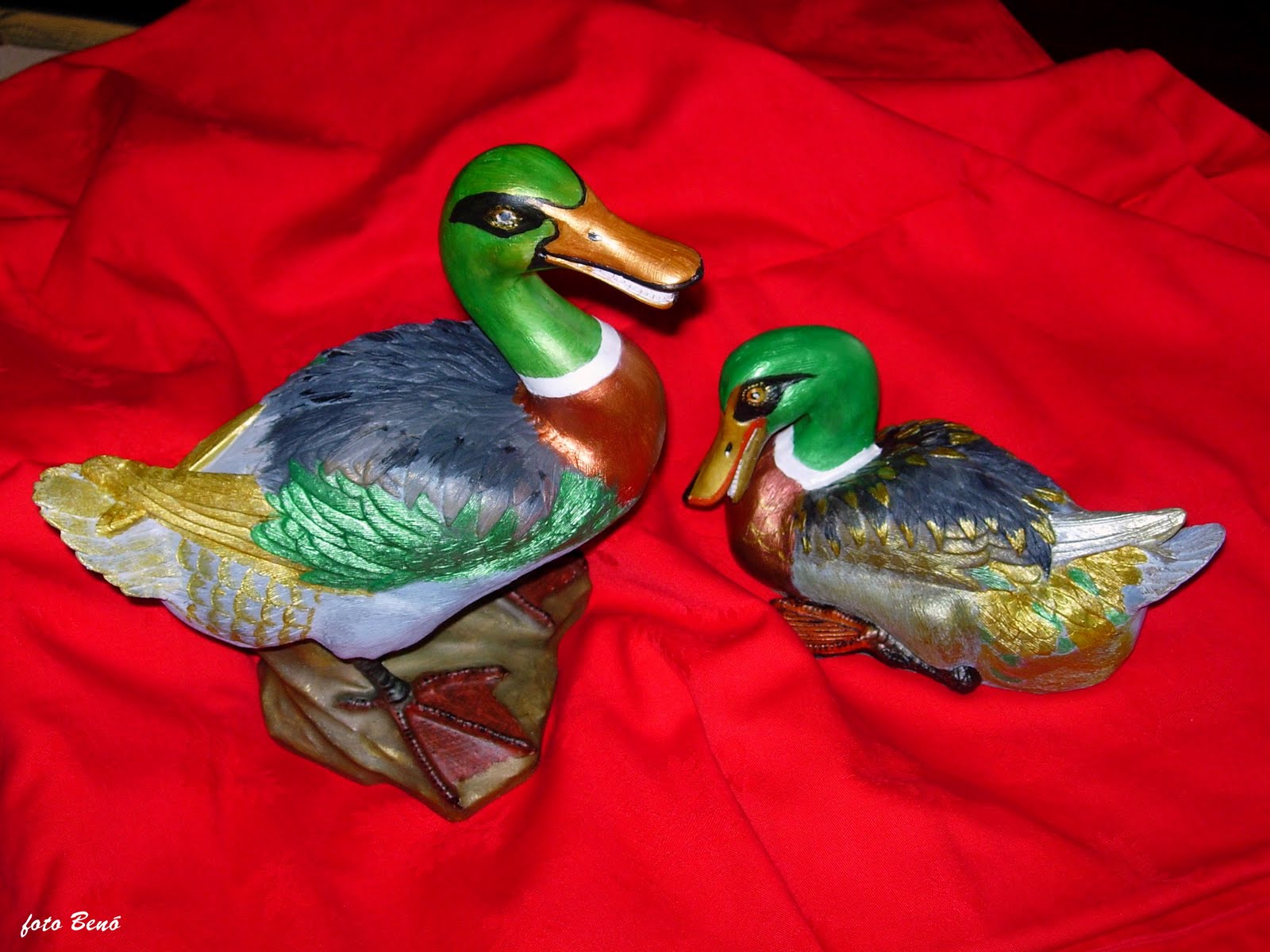 [Patos+002pic..jpg]