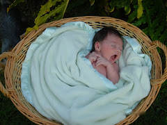 Baby in a basket