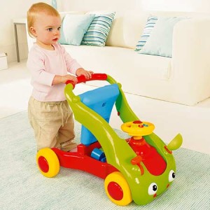 buggy pousseur porteur