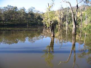 Water Hole