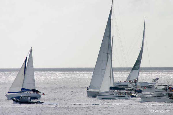 [Andrew-Burke-183_8342-copy.jpg]