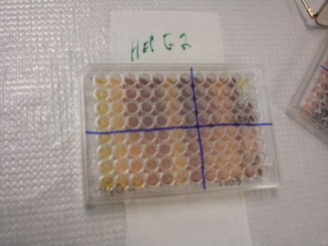 Hep G2 Cancer Lab Test