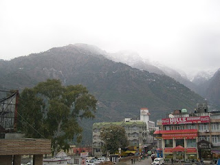 Katara Market