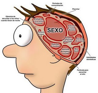 inteligencia inteligencia