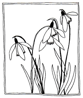 snowdrop drawing