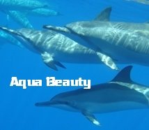 Aqua Beauty