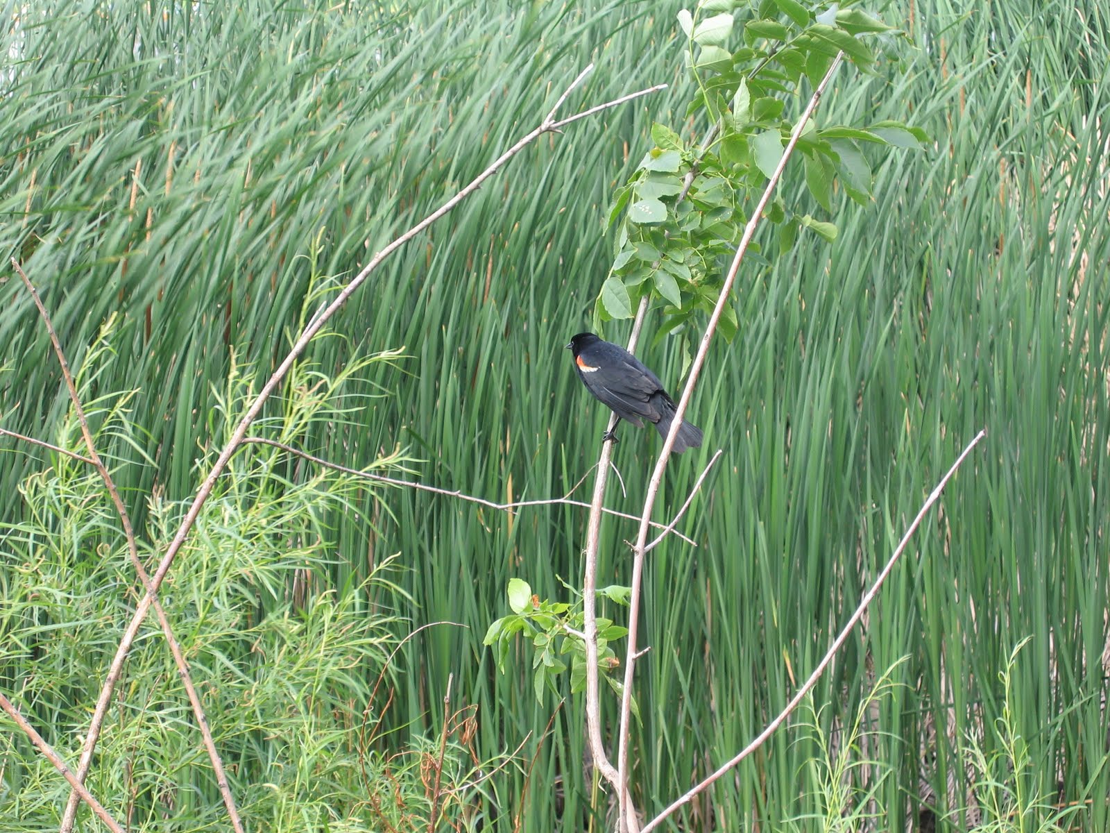 [GayPride09+007.jpg]