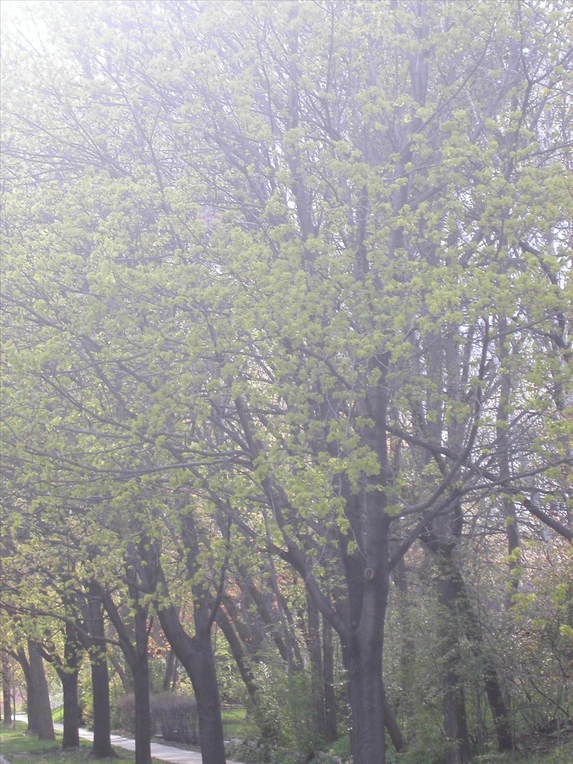 [Spring08-1.jpeg]