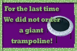 Giant Trampoline, purple