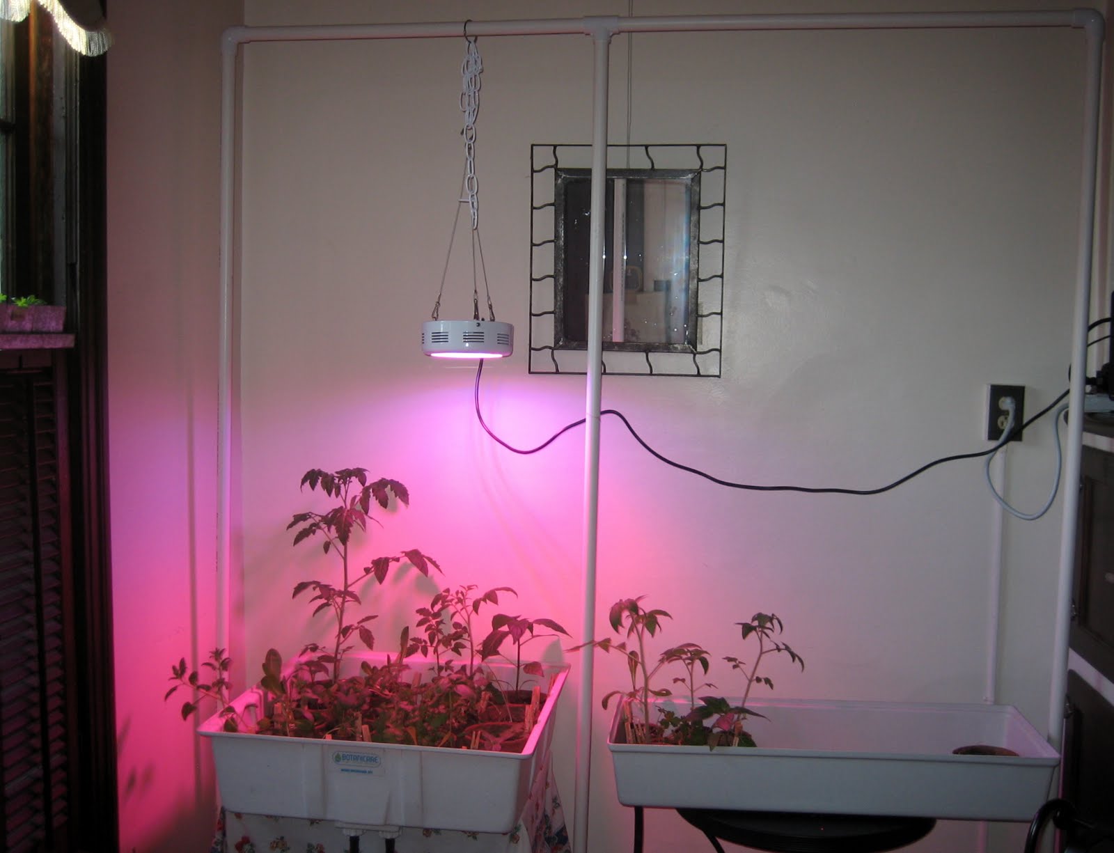 LED Indoor Gardening LED Grow Light vs. Natural Windowsill Light