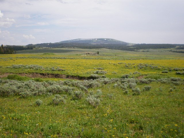[Bighorn+Plateau+Tundra.JPG]