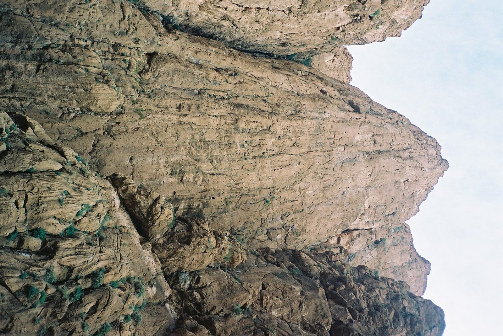 [CNV00017.JPG]