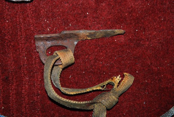 [pegs-0084.jpg]