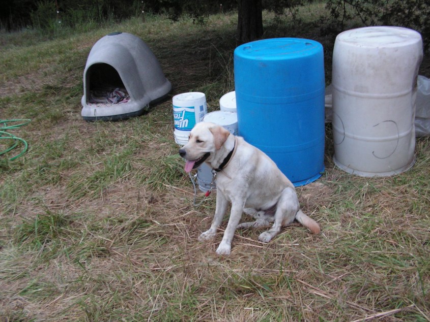 [Pict0806resize.jpg]