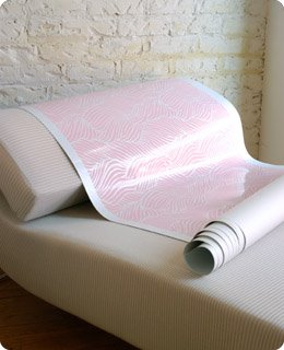 [sheba-maquette.jpg]