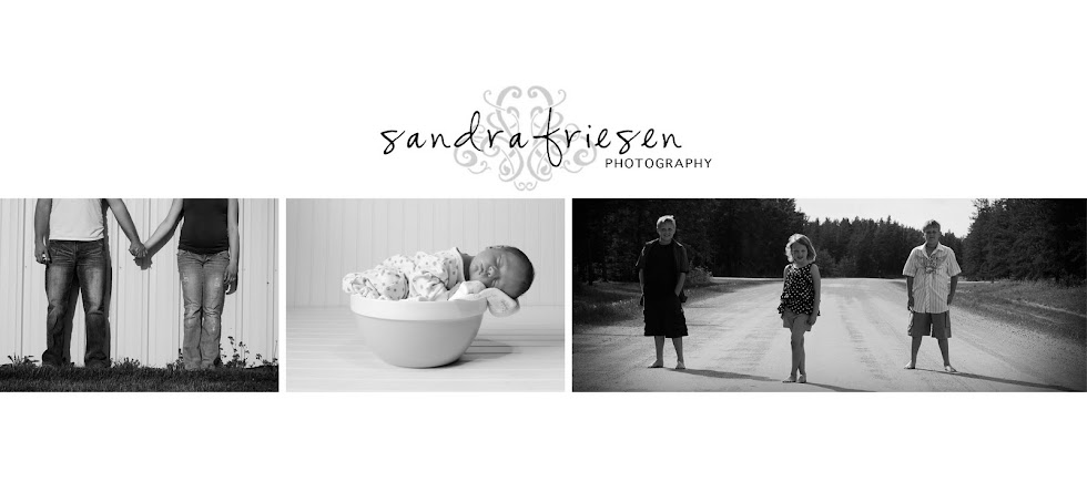 Sandra Friesen Photography