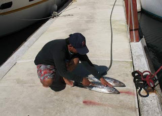 Jerry, our captin, cleans the Chula back at the dock.